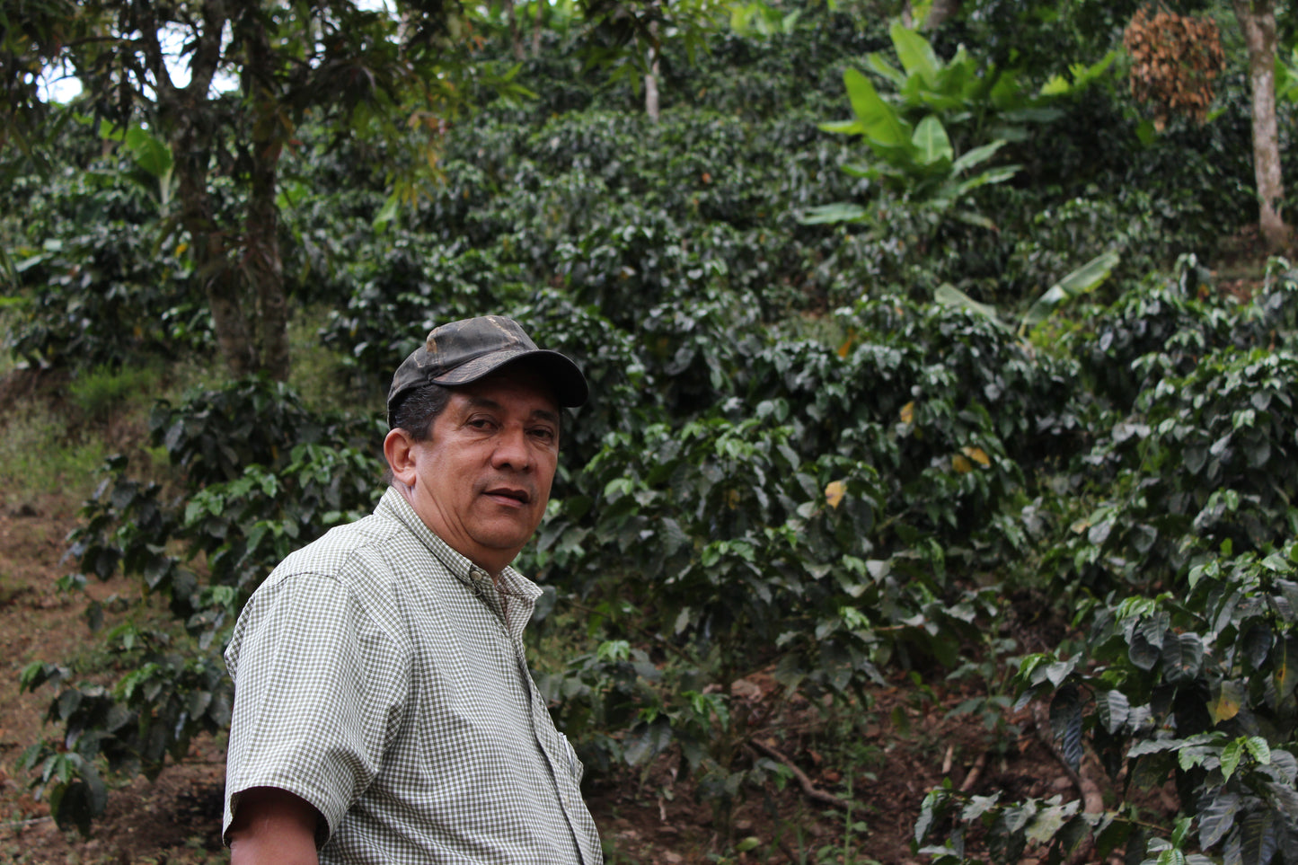 Nicaragua - San Ramon