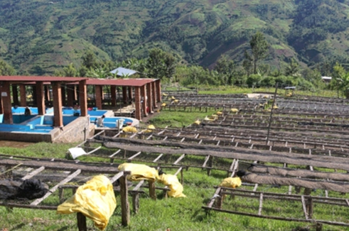 Rwanda - Muhehwe