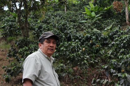 Nicaragua - San Ramon