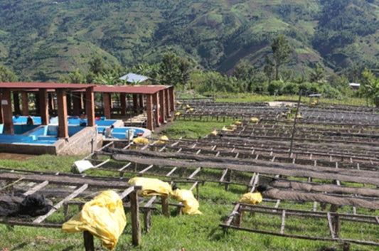 Rwanda - Muhehwe