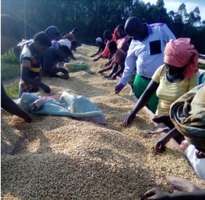 Burundi - Gatukuza