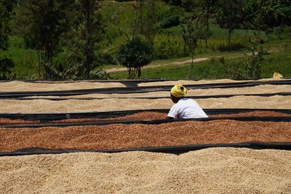Rwanda - Rugali Microlot